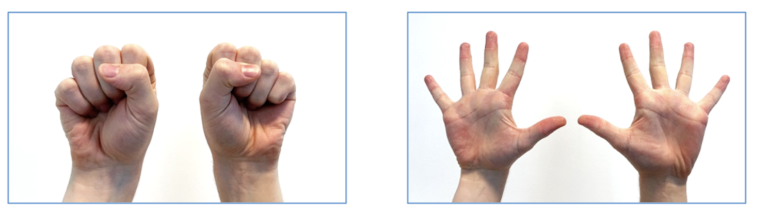 HandDex1.png