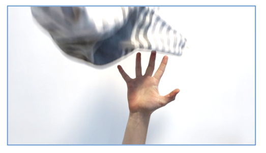 HandDex5.png